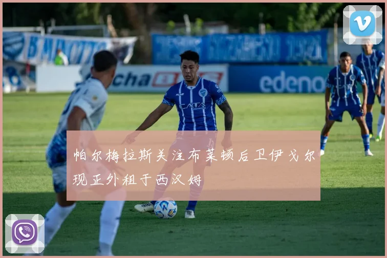 帕尔梅拉斯关注布莱顿后卫伊戈尔现正外租于西汉姆