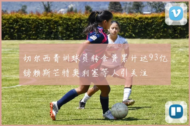 切尔西青训球员转会费累计达93亿镑赖斯芒特奥利塞等人引关注